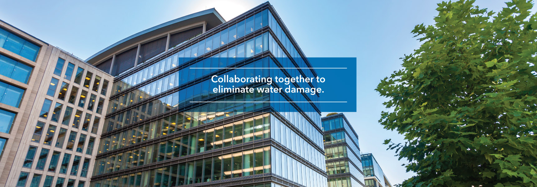 Collaborating together to eliminate water damage.