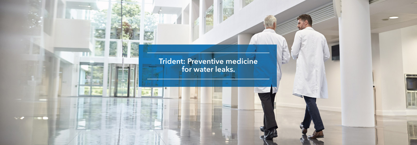 Trident. Preventive medicine for water leaks.