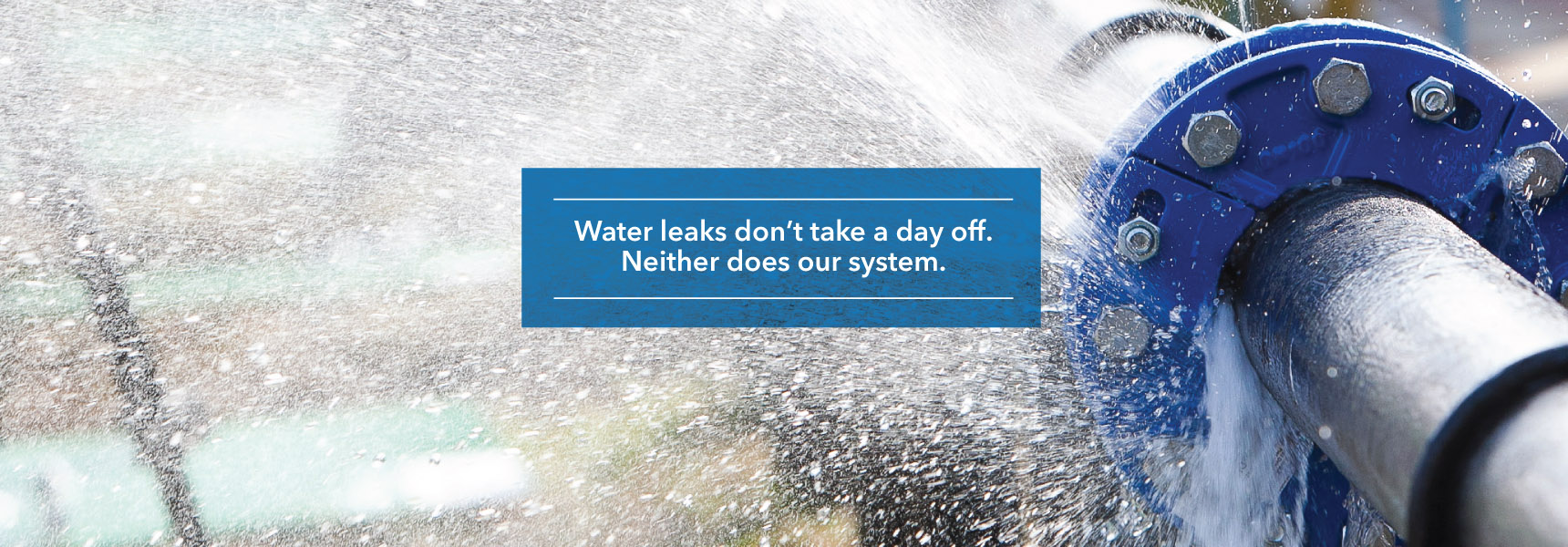 Water leaks don't take a day off. Neither does our system.